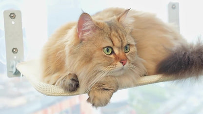 Giường Treo Cửa Sổ Cho Mèo – Không Gian Riêng Trên Cao