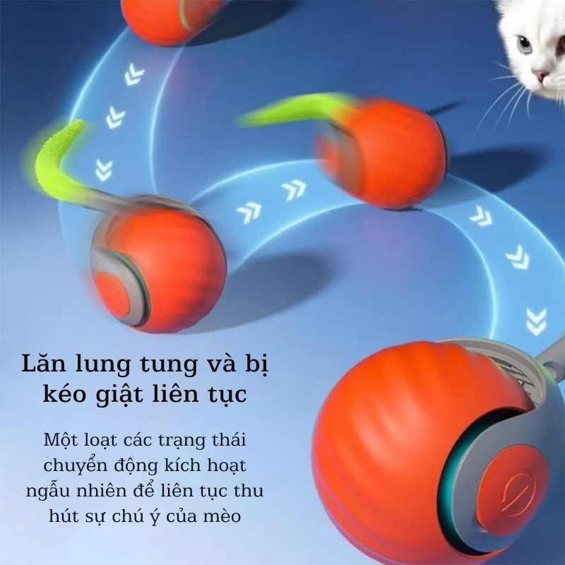 Bóng Đồ Chơi Thông Minh – Kích Thích Bản Năng Săn Mồi