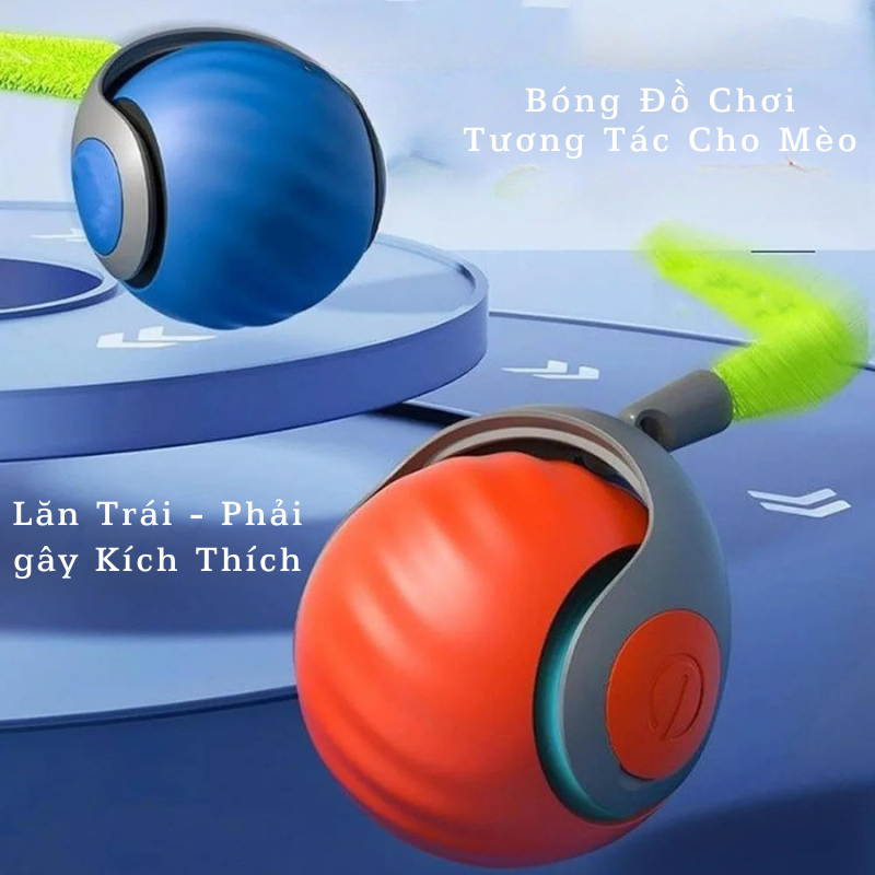 Bóng Đồ Chơi Thông Minh – Kích Thích Bản Năng Săn Mồi