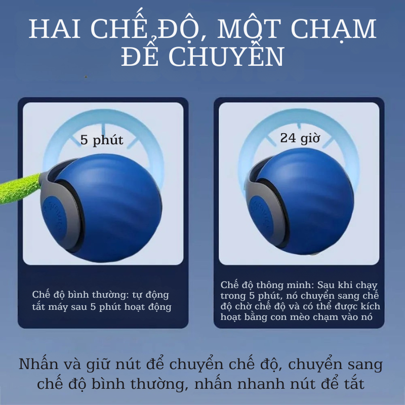 Bóng Đồ Chơi Thông Minh – Kích Thích Bản Năng Săn Mồi