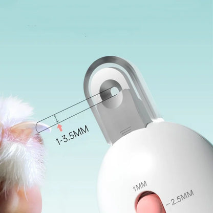 Cắt Móng Cho Chó Và Mèo