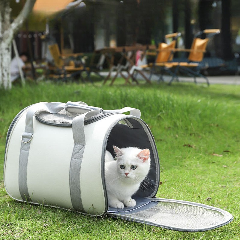 Túi Xách Vận Chuyển Mèo Cao Cấp – Tiện Lợi Khi Ra Ngoài